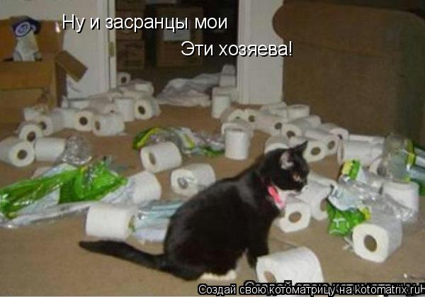 Ну и засранцы мои Эти хозяева!... Котоматрица: Ну и засранцы мои Эти хозяева!