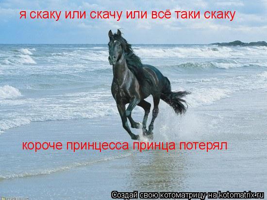 я скаку или скачу или всё таки скаку короче принцесса принца потерял... Котоматрица: я скаку или скачу или всё таки скаку короче принцесса принца потерял