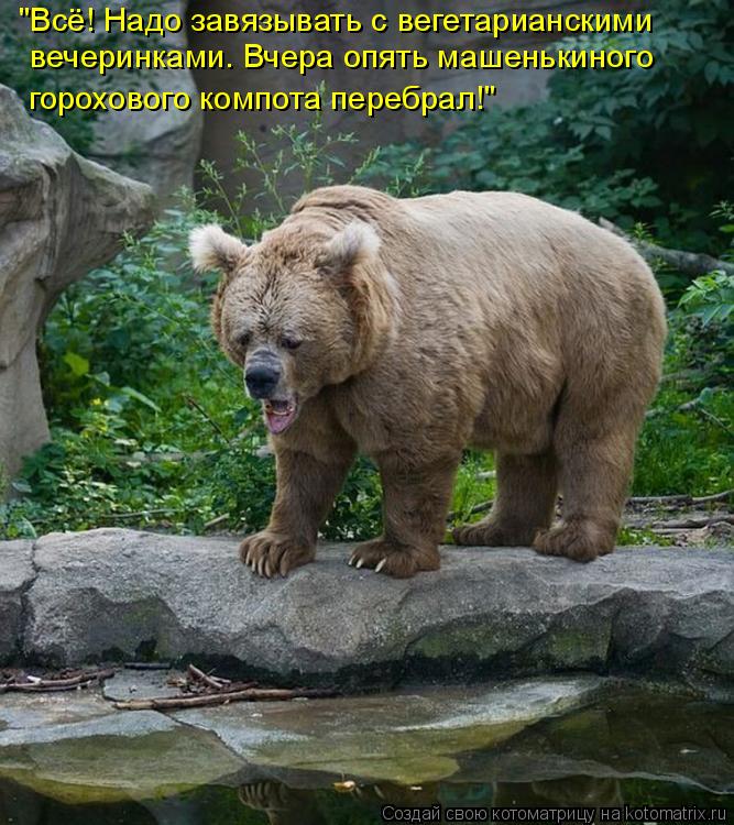 "Всё! Надо завязывать с вегетарианскими вечеринками. Вчера опять машенькиного горохового компота пере... Котоматрица: "Всё! Надо завязывать с вегетарианскими вечеринками. Вчера опять машенькиного горохового компота перебрал!"
