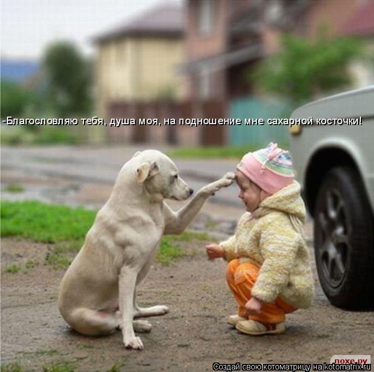 -Благословляю тебя, душа моя, на подношение мне сахарной косточки!... Котоматрица: -Благословляю тебя, душа моя, на подношение мне сахарной косточки!