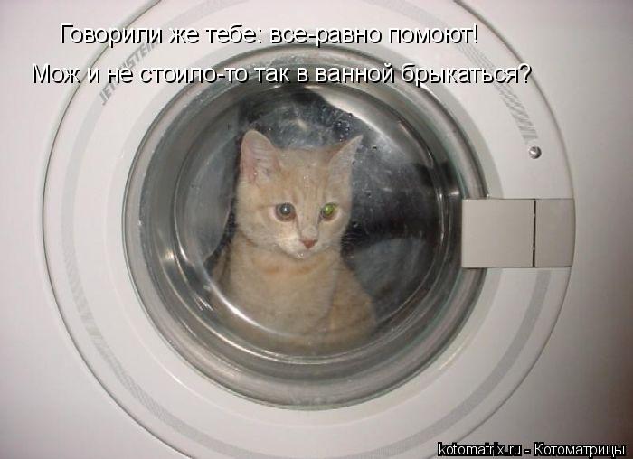 Говорили же тебе: все-равно помоют! Мож и не стоило-то так в ванной брыкаться?... Котоматрица: Говорили же тебе: все-равно помоют! Мож и не стоило-то так в ванной брыкаться?