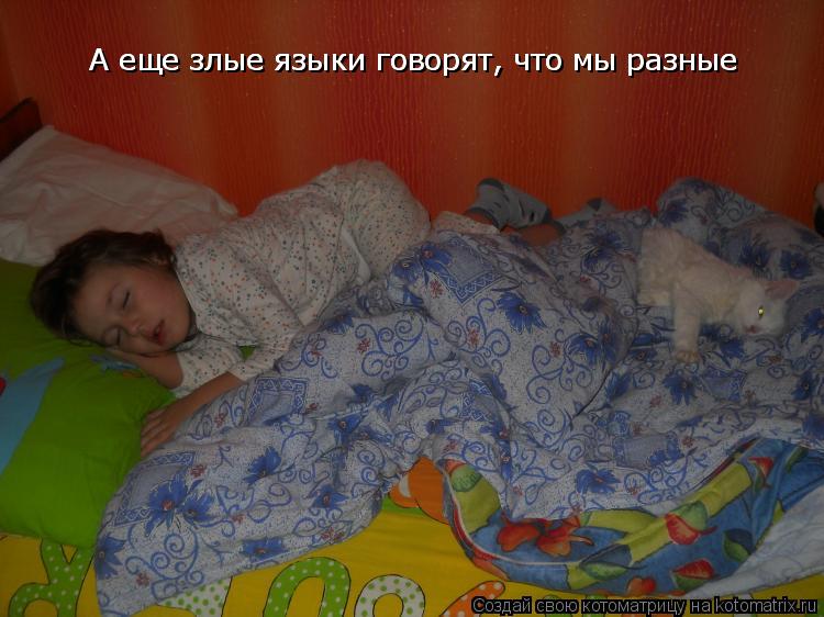 А еще злые языки говорят, что мы разные А еще злые языки говорят, что мы разные... Котоматрица: А еще злые языки говорят, что мы разные А еще злые языки говорят, что мы разные