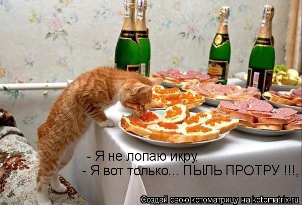 Котоматрица: - Я не лопаю икру, - Я вот только... ПЫЛЬ ПРОТРУ !!!,