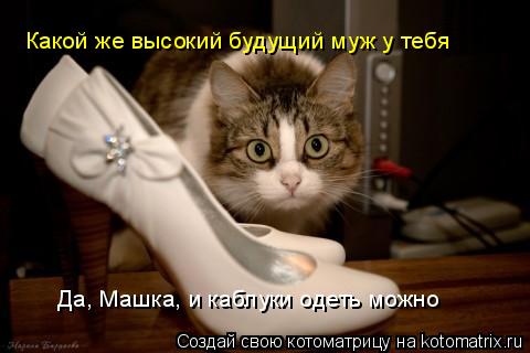 Котоматрица: Какой же высокий будущий муж у тебя Да, Машка, и каблуки одеть можно
