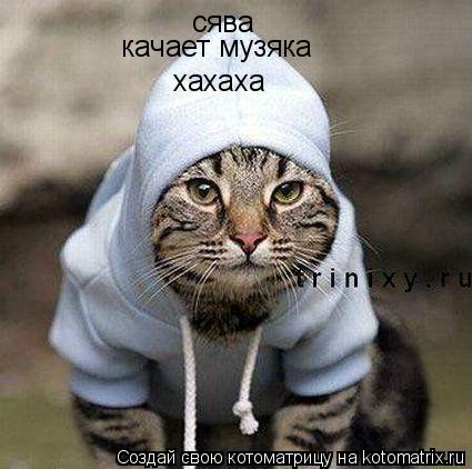 Котоматрица: сява качает музяка хахаха