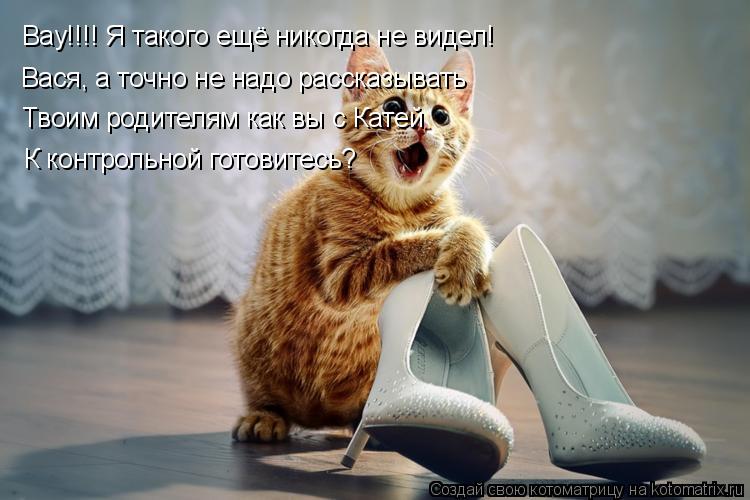 Котоматрица: Вау!!!! Я такого ещё никогда не видел! Вася, а точно не надо рассказывать Твоим родителям как вы с Катей К контрольной готовитесь?