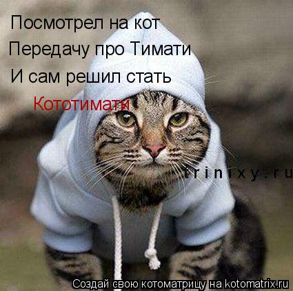 Котоматрица: Посмотрел на кот Передачу про Тимати И сам решил стать Кототимати