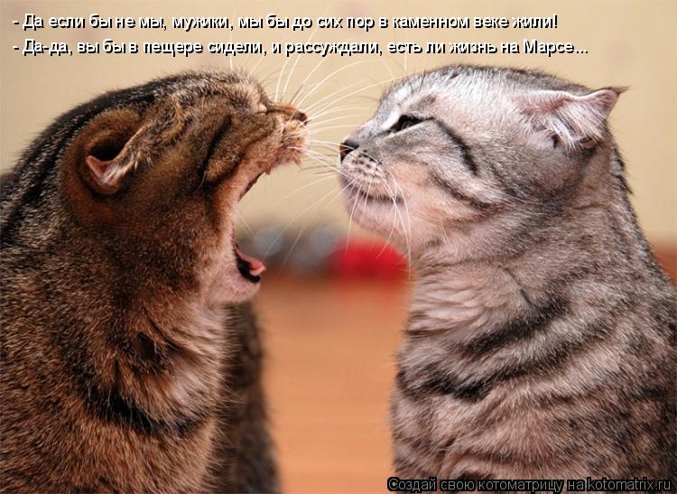 Котоматрица: - Да-да, вы бы в пещере сидели, и рассуждали, есть ли жизнь на Марсе... - Да если бы не мы, мужики, мы бы до сих пор в каменном веке жили!