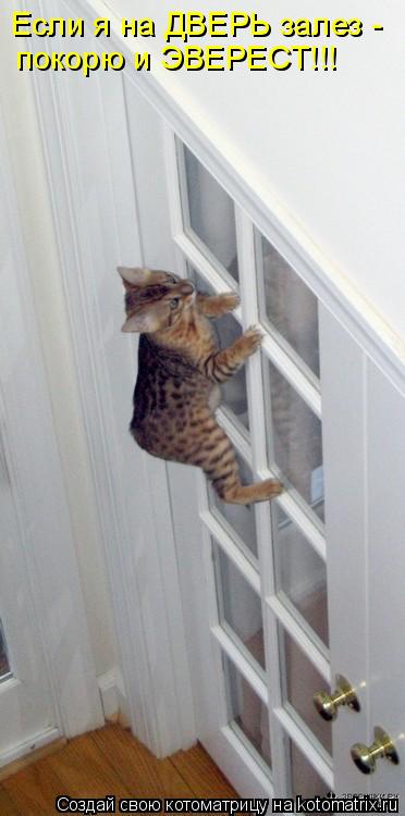 Котоматрица: Если я на ДВЕРЬ залез -  покорю и ЭВЕРЕСТ!!!