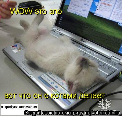 Котоматрица: WOW это зло вот что он с котами делает