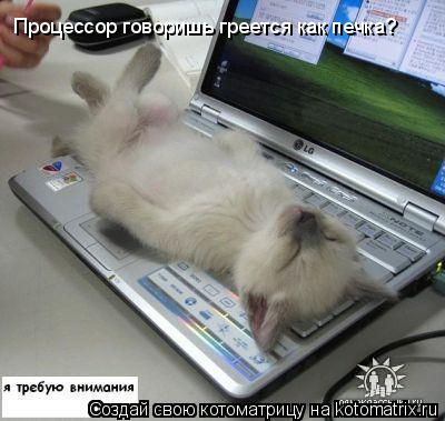 Котоматрица: Процессор говоришь греется как печка?