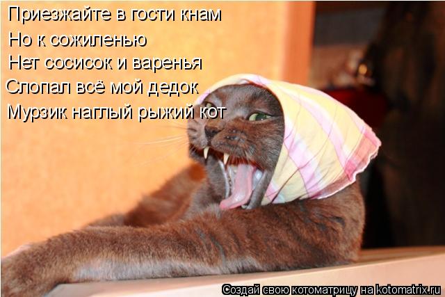 Котоматрица: Приезжайте в гости кнам  Но к сожиленью  Нет сосисок и варенья Слопал всё мой дедок Мурзик наглый рыжий кот