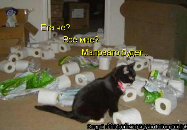 Котоматрица: Ета чё? Всё мне? Маловато будет...