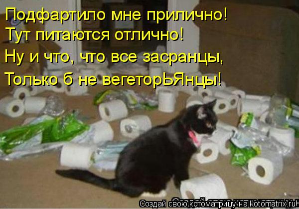 Подфартило мне прилично! Тут питаются отлично! Ну и что, что все засранцы, Только б не вегеторЬЯнцы!... Котоматрица: Подфартило мне прилично! Тут питаются отлично! Ну и что, что все засранцы, Только б не вегеторЬЯнцы!
