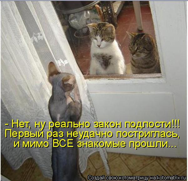 - Нет, ну реально закон подлости!!! Первый раз неудачно постриглась, и мимо ВСЕ знакомые прошли...... Котоматрица: - Нет, ну реально закон подлости!!! Первый раз неудачно постриглась, и мимо ВСЕ знакомые прошли...