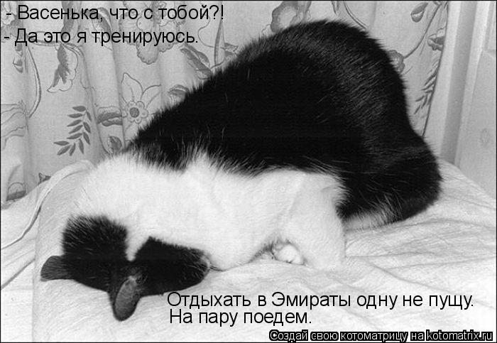 - Васенька, что с тобой?! - Да это я тренируюсь. Отдыхать в Эмираты одну не пущу. На пару поедем.... Котоматрица: - Васенька, что с тобой?! - Да это я тренируюсь. Отдыхать в Эмираты одну не пущу. На пару поедем.