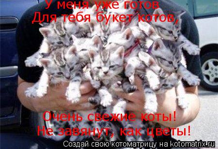 У меня уже готов Для тебя букет котов, Очень свежие коты! Не завянут, как цветы!... Котоматрица: У меня уже готов Для тебя букет котов, Очень свежие коты! Не завянут, как цветы!