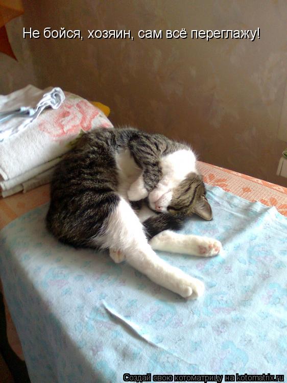 Не бойся, хозяин, сам всё переглажу!... Котоматрица: Не бойся, хозяин, сам всё переглажу!