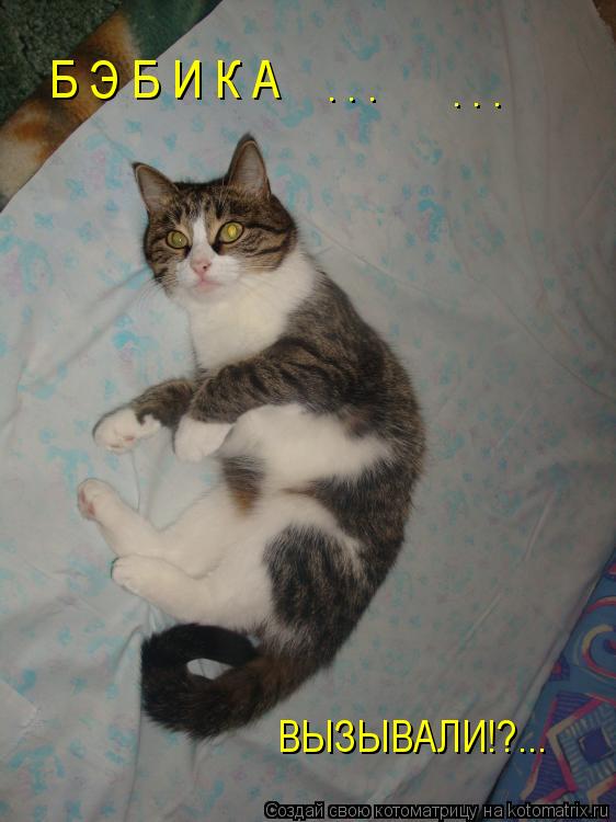 Б Э Б И К А ВЫЗЫВАЛИ!?... . . . . . .... Котоматрица: Б Э Б И К А ВЫЗЫВАЛИ!?... . . . . . .