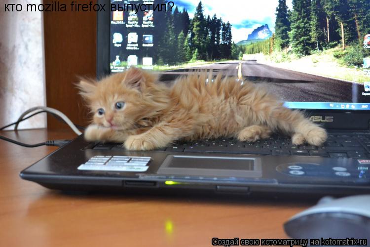 кто mozillа firefox выпустил?... Котоматрица: кто mozillа firefox выпустил?