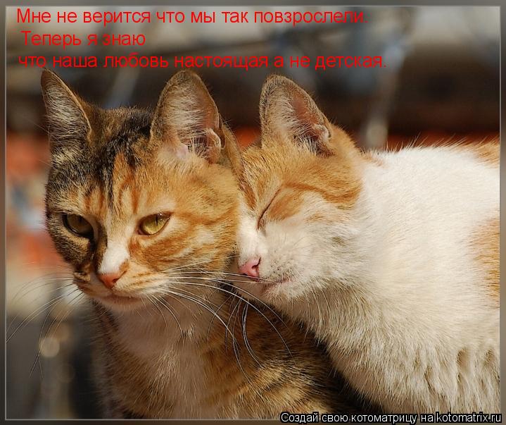 Мне не верится что мы так повзрослели. Теперь я знаю что наша любовь настоящая а не детская.... Котоматрица: Мне не верится что мы так повзрослели. Теперь я знаю что наша любовь настоящая а не детская.