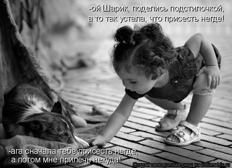 -ой Шарик, поделись подстилочкой, а то так устала, что присесть негде! -ага сначала тебе присесть нег... Котоматрица: -ой Шарик, поделись подстилочкой, а то так устала, что присесть негде! -ага сначала тебе присесть негде, а потом мне прилечь некуда!