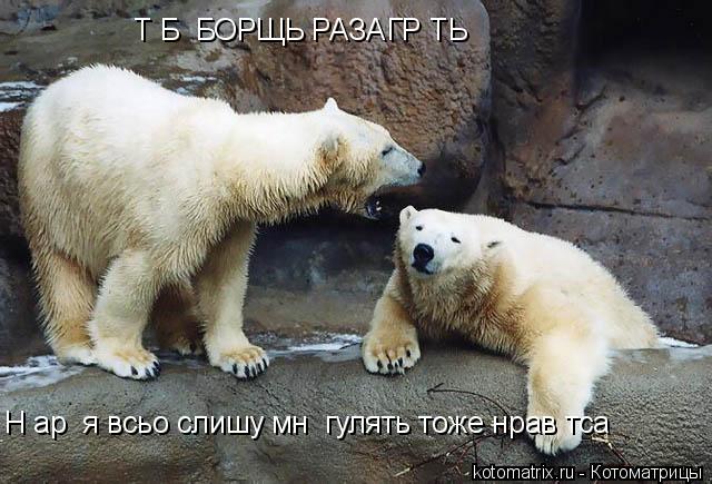 ТЄБЄ БОРЩЬ РАЗАГРЄТЬ Нєарі я всьо слишу мнє гулять тоже нравітса... Котоматрица: ТЄБЄ БОРЩЬ РАЗАГРЄТЬ Нєарі я всьо слишу мнє гулять тоже нравітса