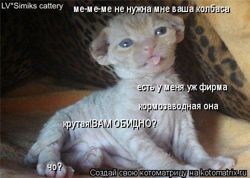 ме-ме-ме не нужна мне ваша колбаса есть у меня уж фирма кормозаводная она крутая!ВАМ ОБИДНО? чо?... Котоматрица: ме-ме-ме не нужна мне ваша колбаса есть у меня уж фирма кормозаводная она крутая!ВАМ ОБИДНО? чо?