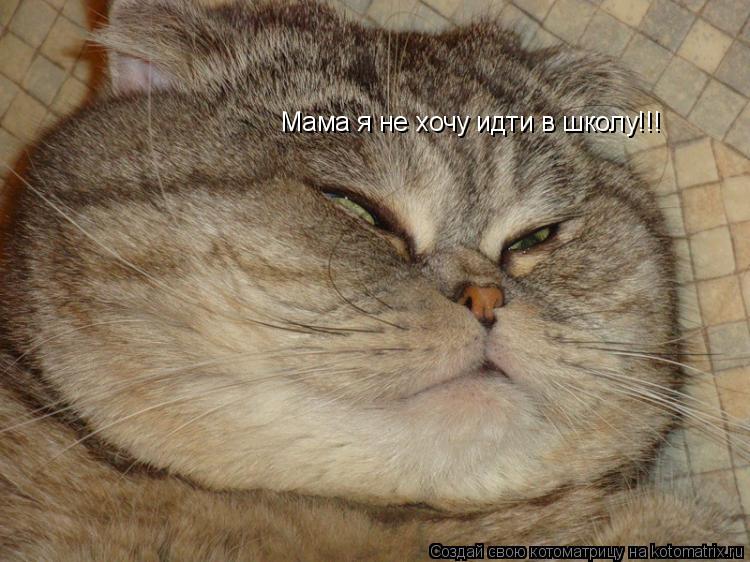 Мама я не хочу идти в школу!!!... Котоматрица: Мама я не хочу идти в школу!!!