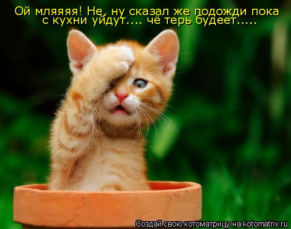 Ой мляяяя! Не, ну сказал же подожди пока с кухни уйдут.... чё терь будеет........ Котоматрица: Ой мляяяя! Не, ну сказал же подожди пока с кухни уйдут.... чё терь будеет.....