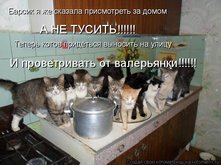 Барсик я же сказала присмотреть за домом А НЕ ТУСИТЬ!!!!!! Теперь котов придёться выносить на улицу ... Котоматрица: Барсик я же сказала присмотреть за домом А НЕ ТУСИТЬ!!!!!! Теперь котов придёться выносить на улицу И проветривать от валерьянки!!!!!!