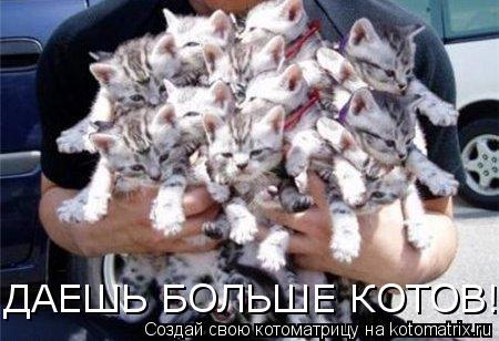 ДАЕШЬ БОЛЬШЕ КОТОВ!... Котоматрица: ДАЕШЬ БОЛЬШЕ КОТОВ!