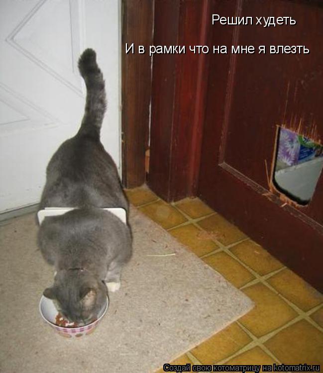 Котоматрица: Решил худеть И в рамки что на мне я влезть