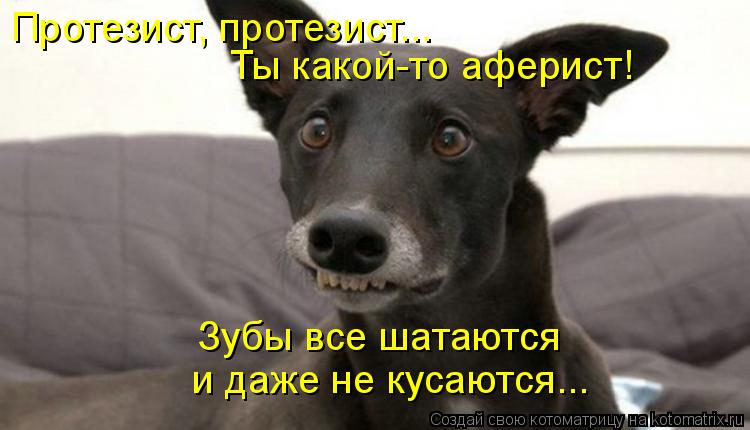 Котоматрица: Протезист, протезист... Ты какой-то аферист! Зубы все шатаются  и даже не кусаются...
