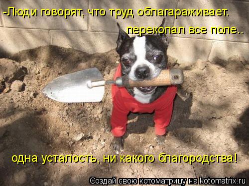 -Люди говорят, что труд облагараживает. перекопал все поле.. одна усталость, ни какого благородства!... Котоматрица: -Люди говорят, что труд облагараживает. перекопал все поле.. одна усталость, ни какого благородства!