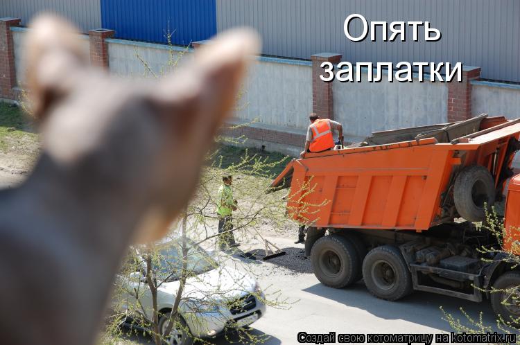 Котоматрица: Опять заплатки