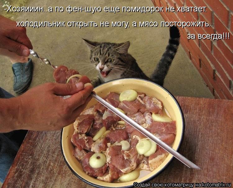-Хозяииин..а по фен-шую еще помидорок не хватает. холодильник открыть не могу, а мясо посторожить.. з... Котоматрица: -Хозяииин..а по фен-шую еще помидорок не хватает. холодильник открыть не могу, а мясо посторожить.. за всегда!!!
