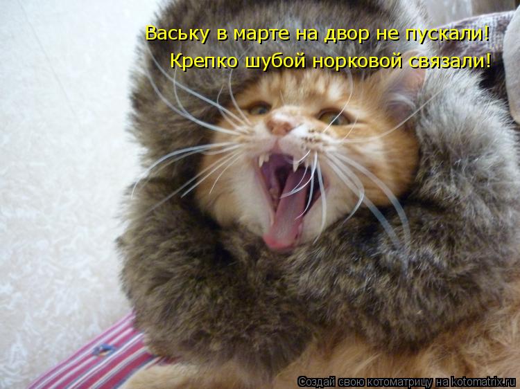 Ваську в марте на двор не пускали! Крепко шубой норковой связали!... Котоматрица: Ваську в марте на двор не пускали! Крепко шубой норковой связали!