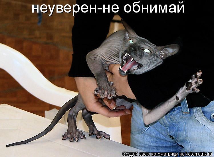 неуверен-не обнимай... Котоматрица: неуверен-не обнимай