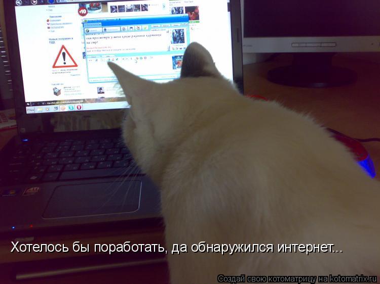 Хотелось бы поработать, да обнаружился интернет...... Котоматрица: Хотелось бы поработать, да обнаружился интернет...