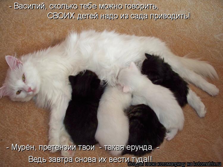 Котоматрица: СВОИХ детей надо из сада приводить! - Василий, сколько тебе можно говорить,  Ведь завтра снова их вести туда!! - Мурён, претензии твои  - такая е
