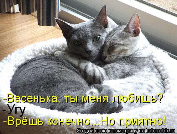 Котоматрица: -Васенька, ты меня любишь? -Угу -Врёшь конечно...Но приятно!