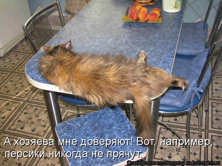 А хозяева мне доверяют! Вот, например, персики никогда не прячут.... Котоматрица: А хозяева мне доверяют! Вот, например, персики никогда не прячут.