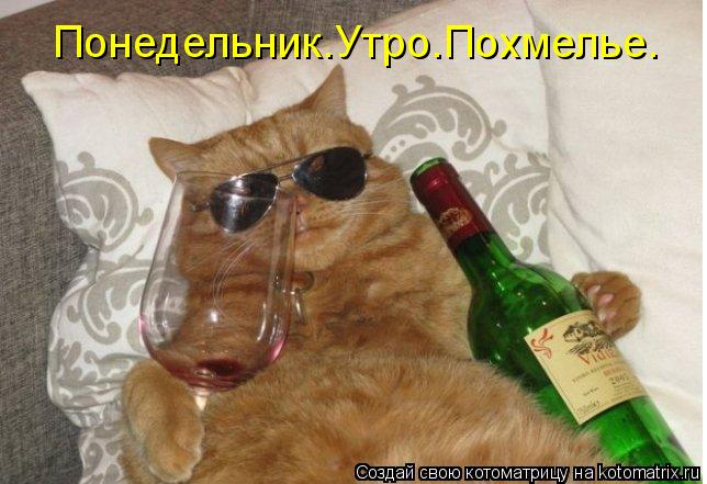 Котоматрица: Понедельник.Утро.Похмелье.