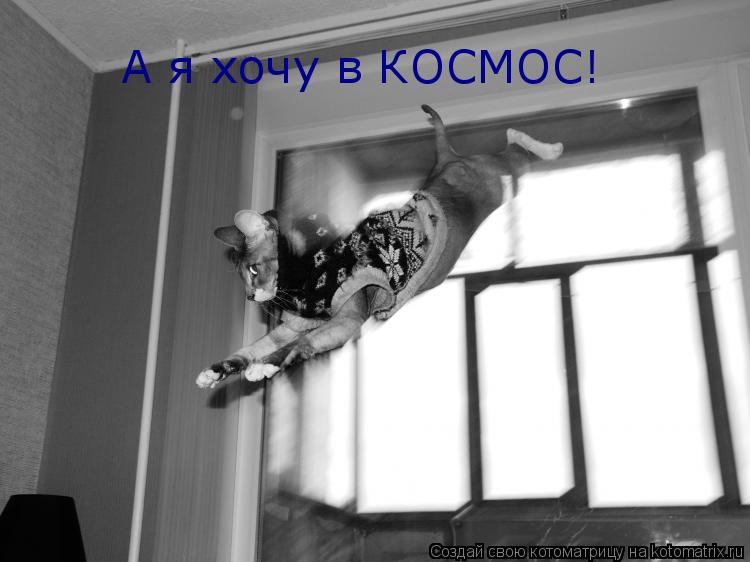 Котоматрица: А я хочу в КОСМОС!