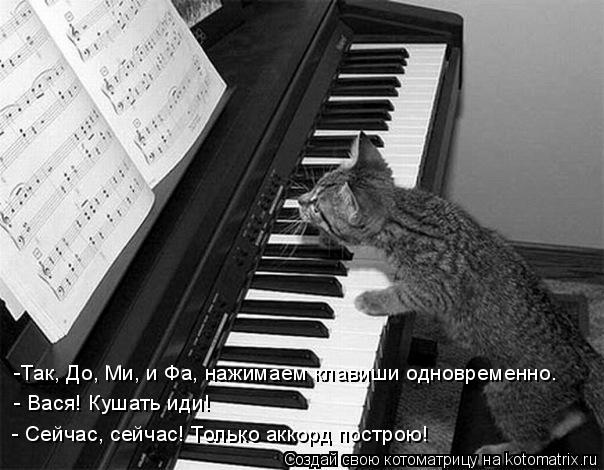 - Вася! Кушать иди! -Так, До, Ми, и Фа, нажимаем клавиши одновременно. - Сейчас, сейчас! Только аккор... Котоматрица: - Вася! Кушать иди! -Так, До, Ми, и Фа, нажимаем клавиши одновременно. - Сейчас, сейчас! Только аккорд построю!