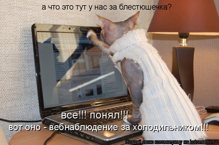 Котоматрица: а что это тут у нас за блестюшечка? все!!! понял!!! вот оно - вебнаблюдение за холодильником!!!
