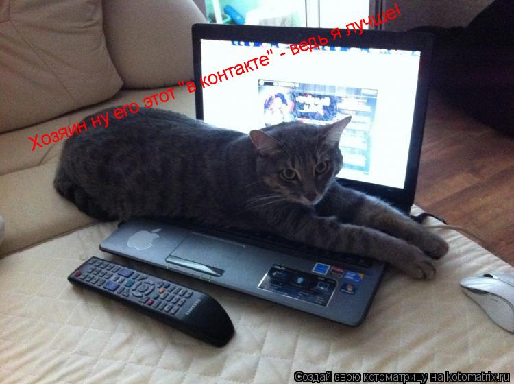 Котоматрица: Хозяин ну его этот "в контакте" - ведь я лучше! Хозяин ну его этот "в контакте" - ведь я лучше!