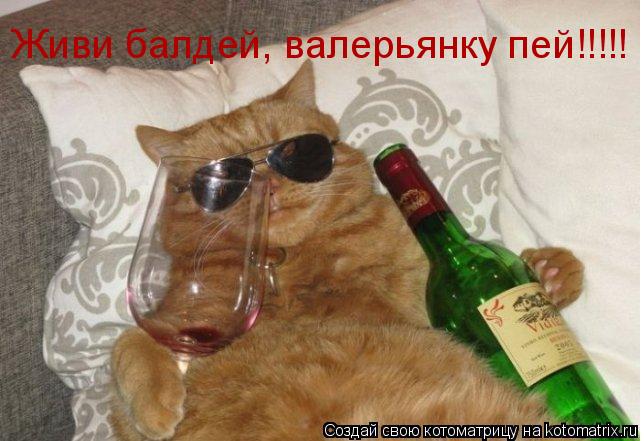 Котоматрица: Живи балдей, валерьянку пей!!!!!