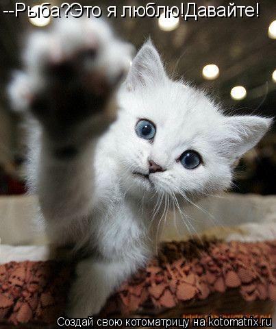 Котоматрица: --Рыба?Это я люблю!Давайте!